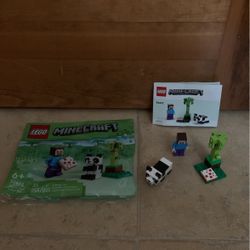 Lego Minecraft #30672