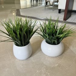 Faux Plants
