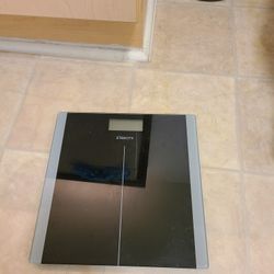 Scale