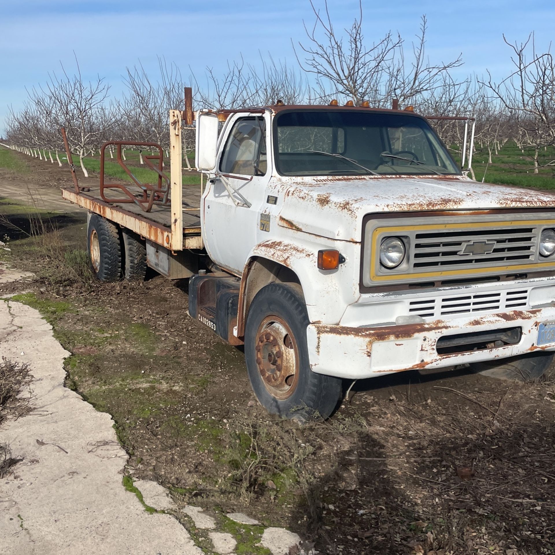 1979 C70 Flat Bed Truck
