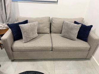 Crate & Barrel Sofabed