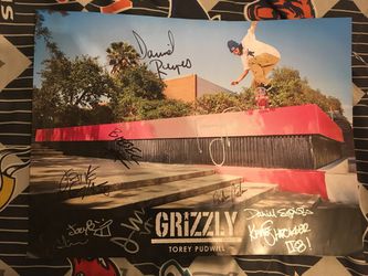 Grizzly Grip poster