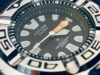 “Ecozilla” watch