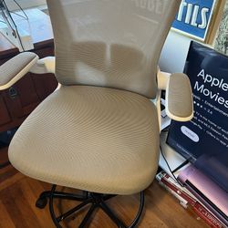 Computer/Gaming Chair