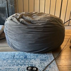 Gray Bean Bag Chair