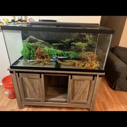 Fish Tank (75 Gallons)  With Stand 