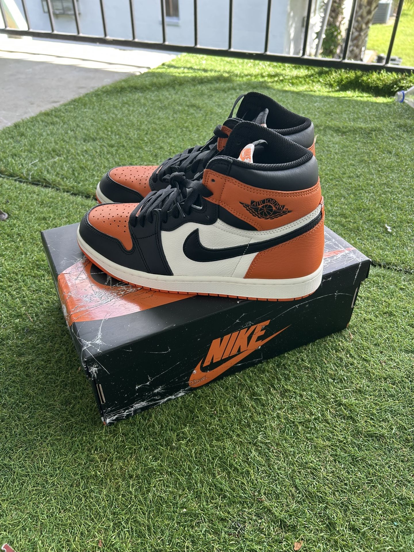 Jordan 1s