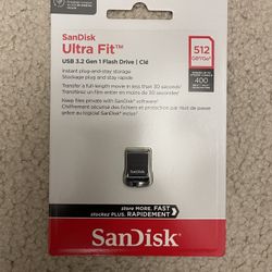 512GB SanDisk Flash Drive