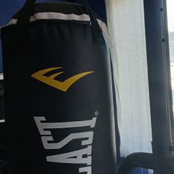 Everlast Boxing Bag