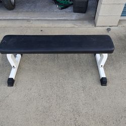 Workout Weight Fitness Bench
