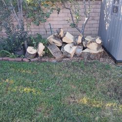 Fresh Cut Firewood For Free
