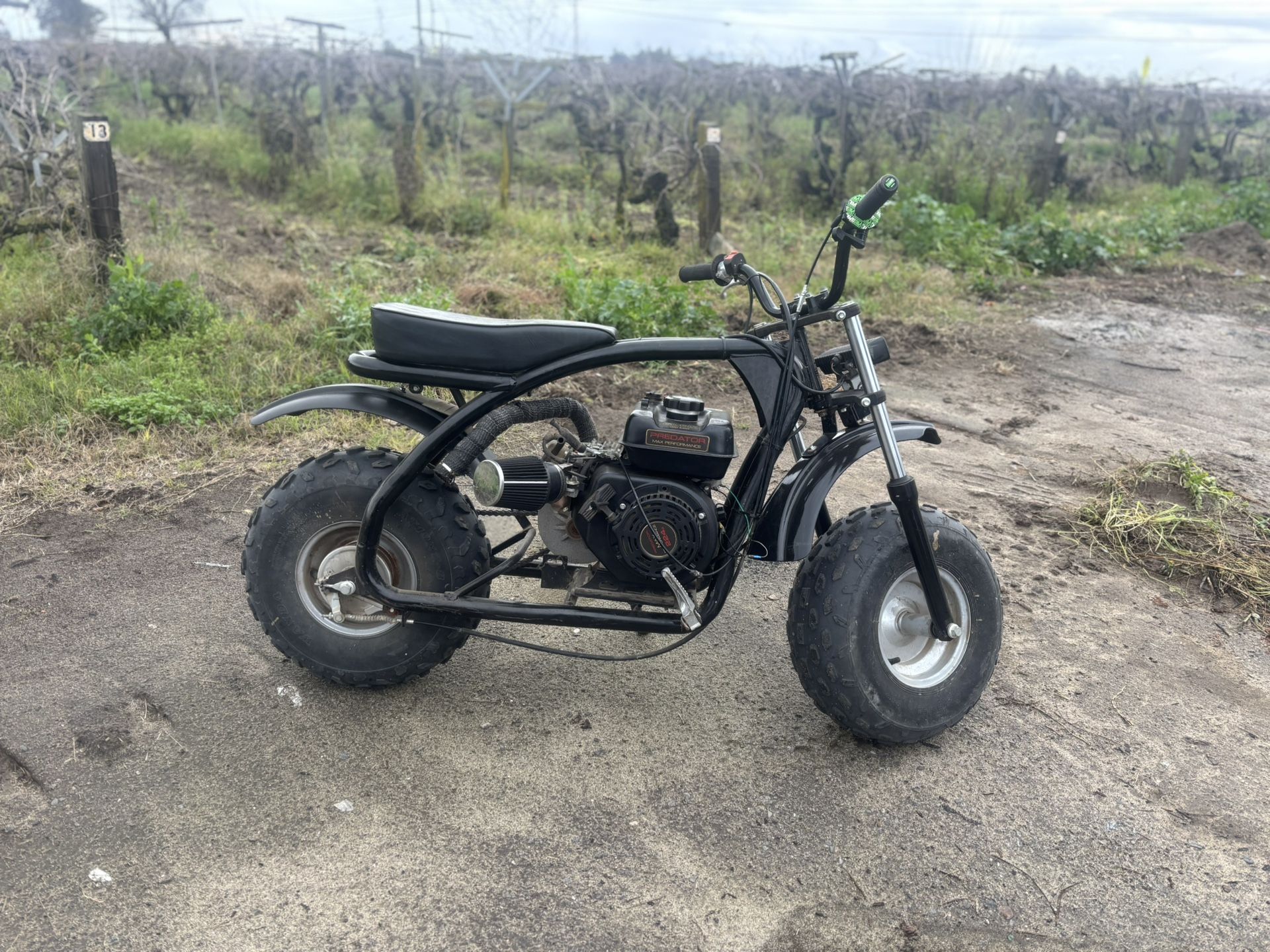 Coleman BT200X 224 Predator