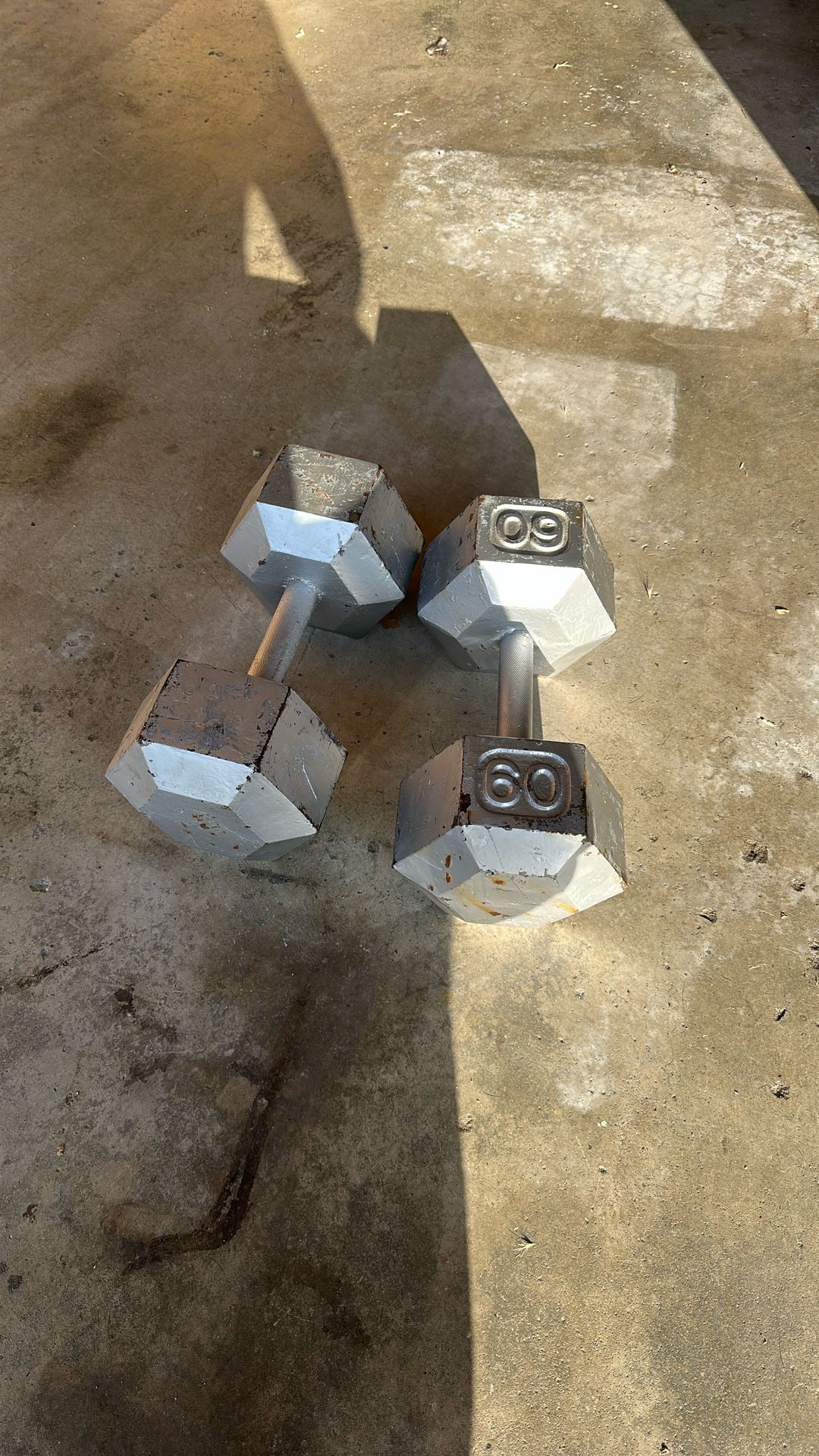 60 Pound dumbbells