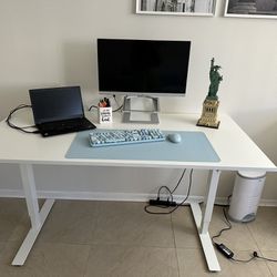 Trotten IKEA Sit Stand Desk 