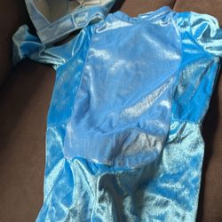 Bruni The Salamander From Frozen Size 2T Costume