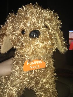 It's your new best friend pumpkin spice