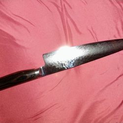 7" Japanese Shun Knife