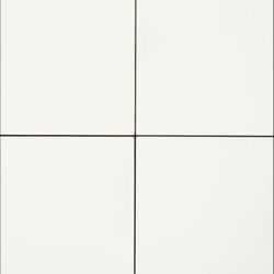 Elite 6x6 cement tiles (from Lili Tile)