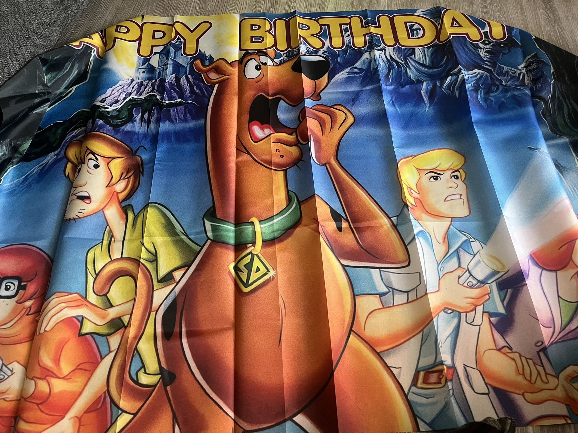 Scooby Doo Party Supplies And 12 Candy Bags 