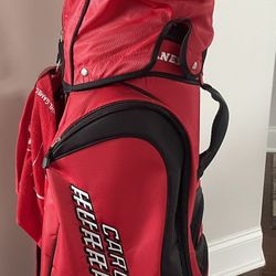 Carolina Hurricanes Golf Bag