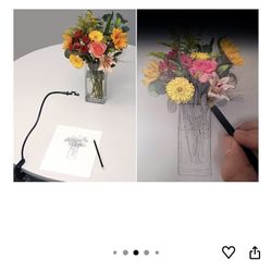 Neolucida Drawing Tool