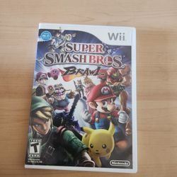 Super Smash Bros. Brawl Nintendo Wii With Manual