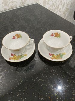 2 VTG Walbrzych Poland Footed Tea Cup Saucer Bone China Autumn Leaves . Rare!!