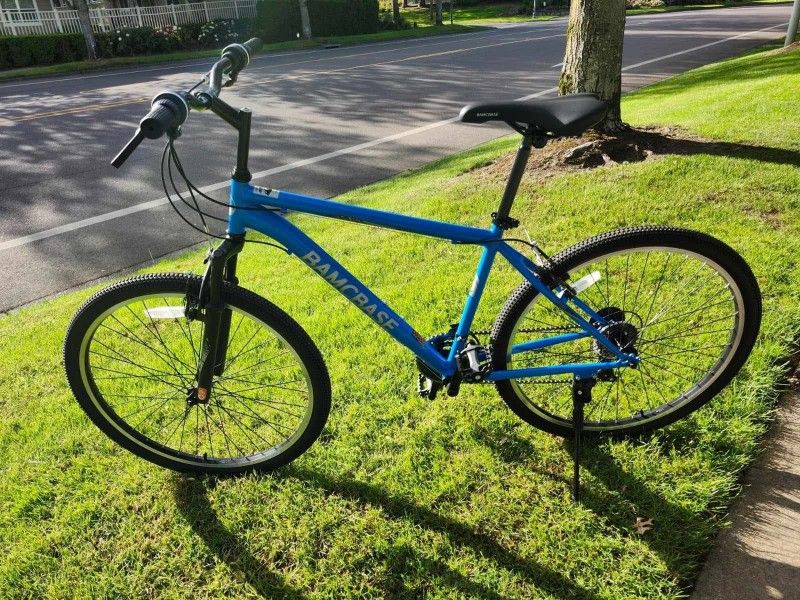 Mountain Bike