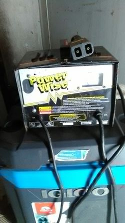 Power-wise golf cart battery charger