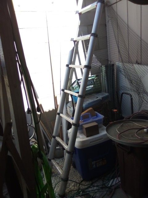 Extendable Aluminum Ladder
