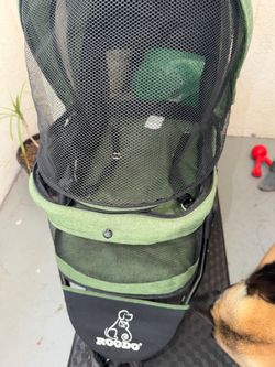 Cat stroller