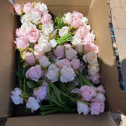 Pink And White Roses