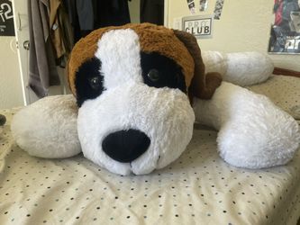 Stuffed Animal