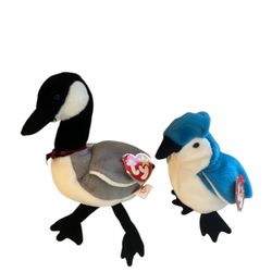 2 TY Beanie Babies Bird Family Bundle 