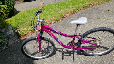 Slecialized Hockrock 7 Speed Youth size