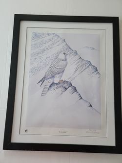 Frank L. Beebe Falcon "Cryptic" signed lithograph hand numbered 462/500. Professionally Framed
