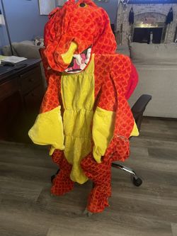 Dragon Costume