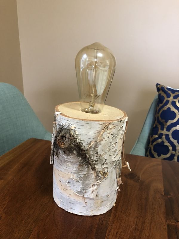 Birch Tree Lamp With Bulb For In Brooklyn Ny Offerup