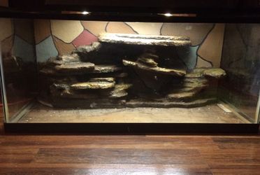 I make 3D backgrounds for fish aquarium and reptiles