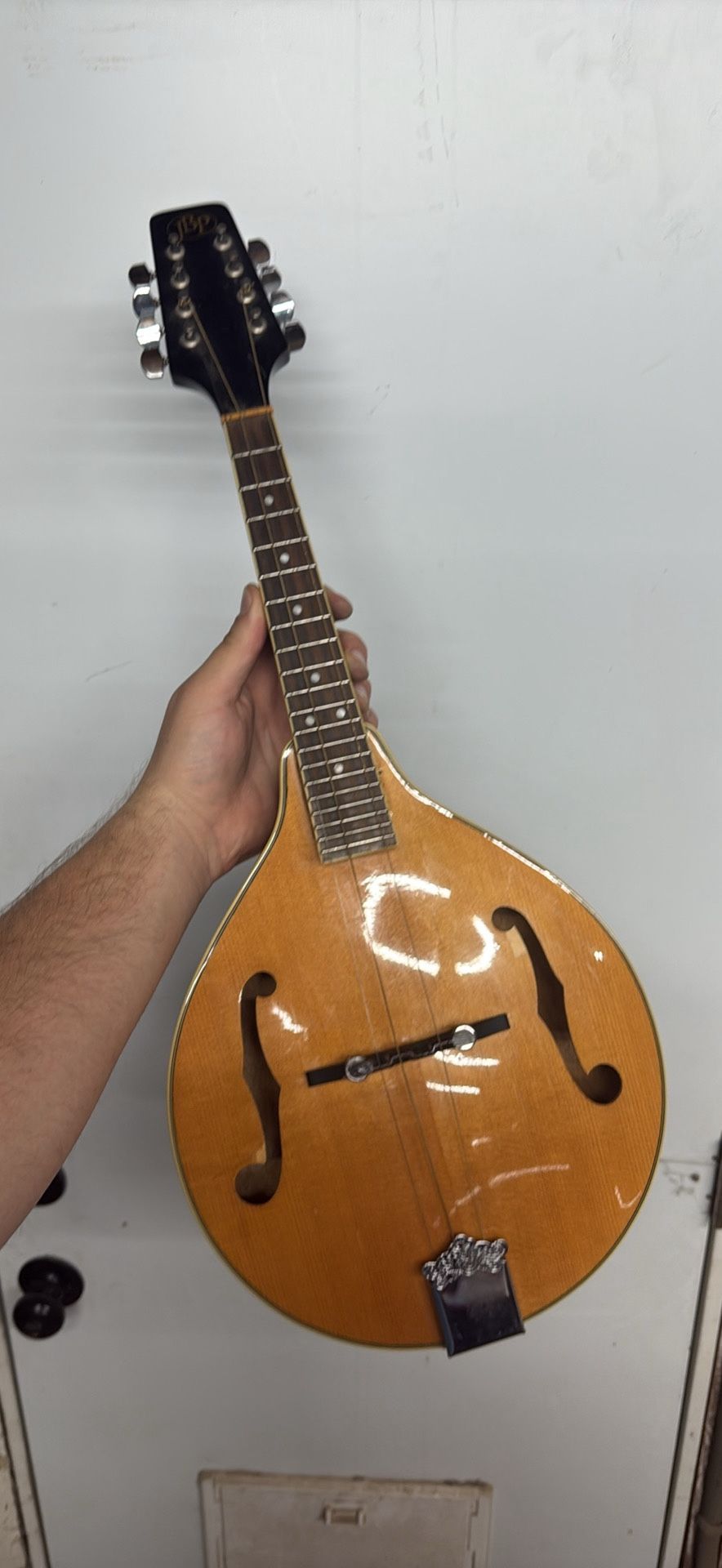 Mandolin