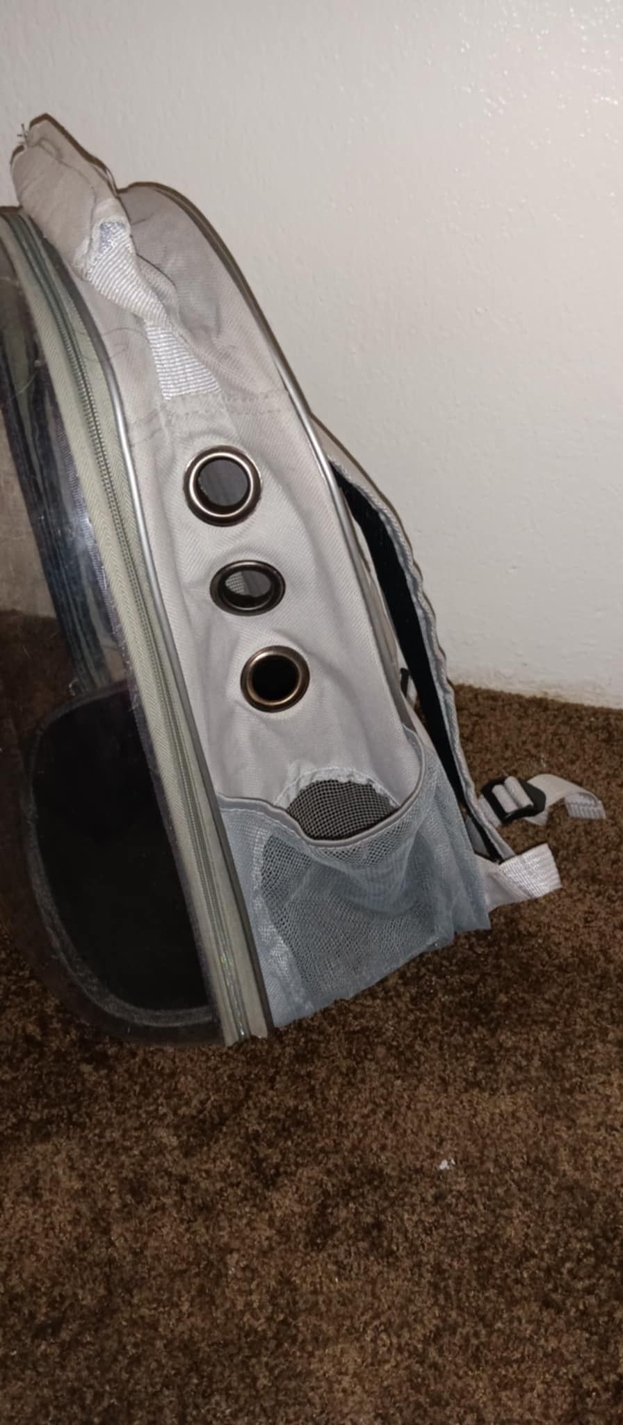 Cat Backpack