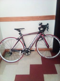 Orbea Orca