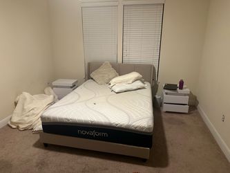Queen Bet Set