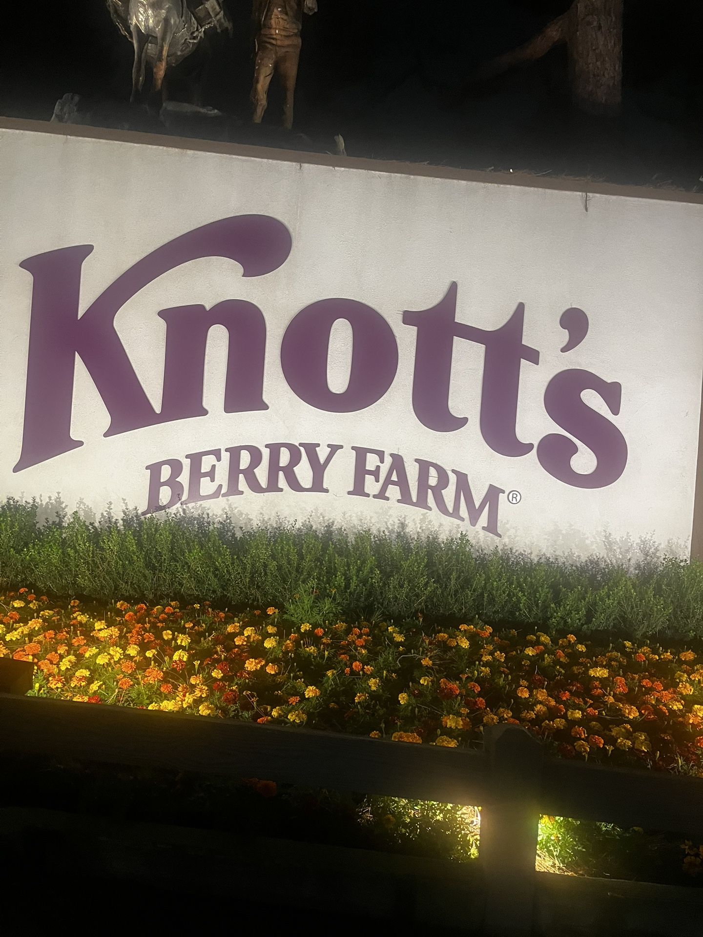 Knotts Cat Mascot Free