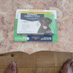 Pet Flea Treatment