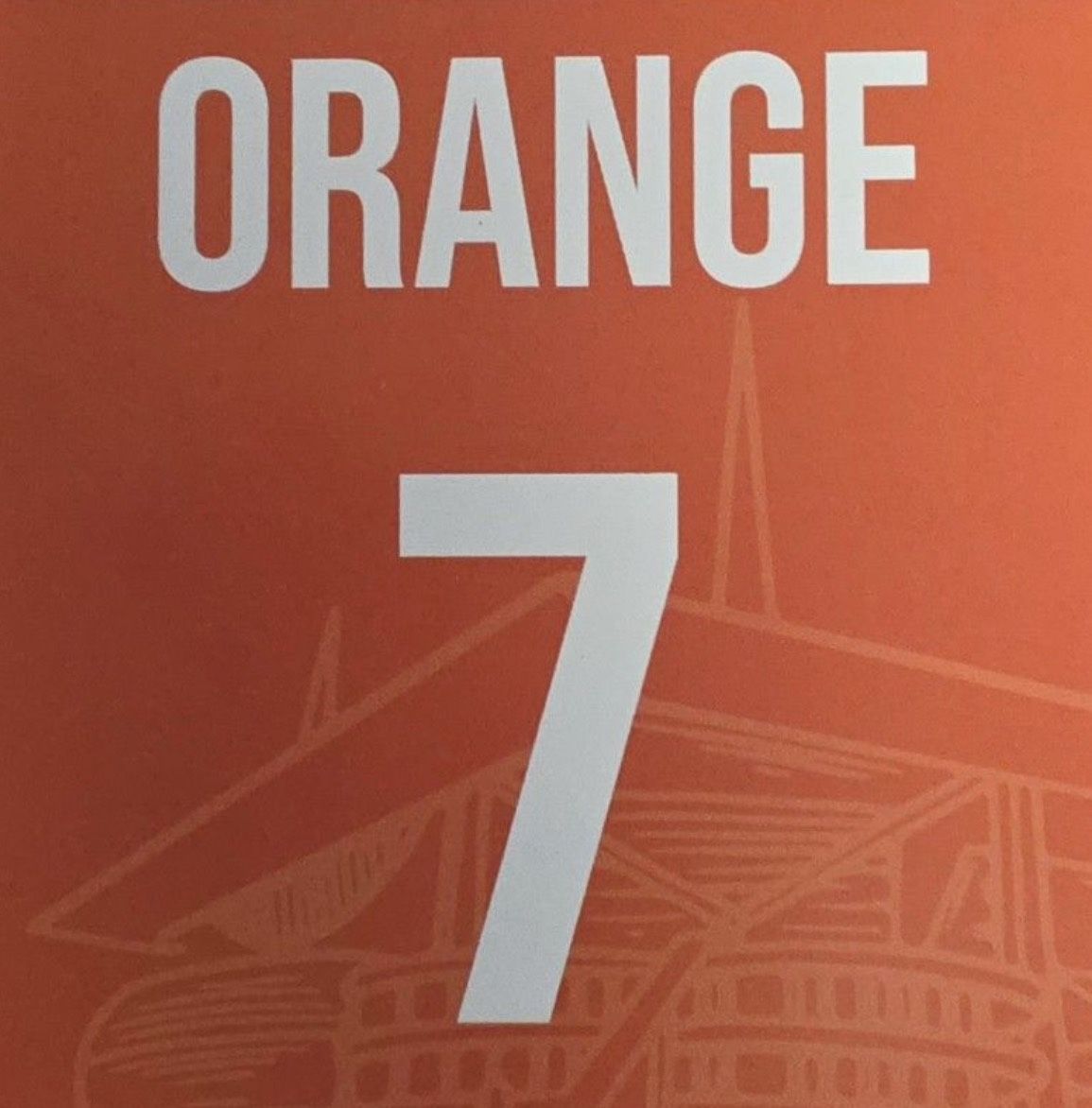 Dolphins ORANGE PARKING PASS