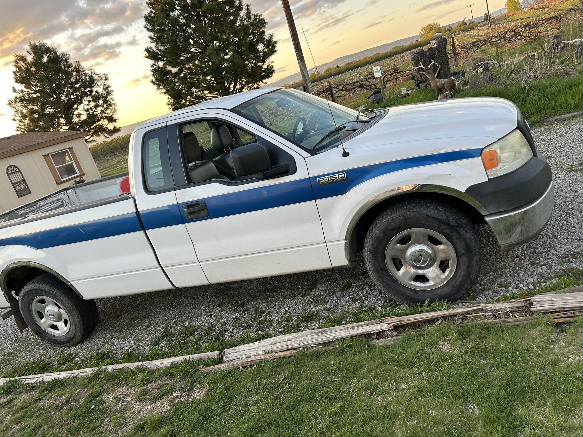2006 Ford F-150