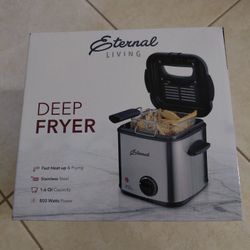 Deep Fryer And Steamer - NEW