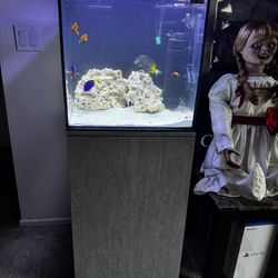 New Saltwater Tank 25 Gallons 