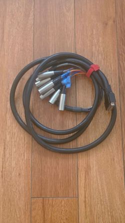 DB-25 to 8-Channel 3-Pin XLR Snake Cable - 9.9'